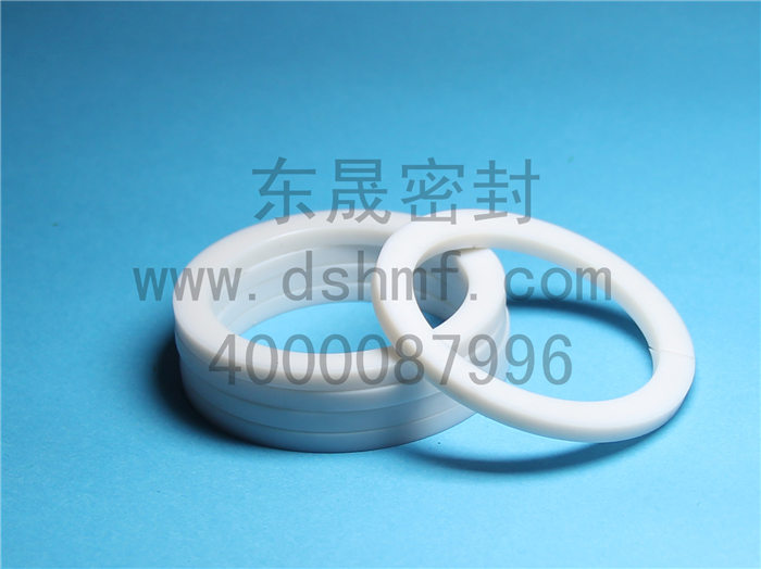 輔助密封件產(chǎn)品，擋圈