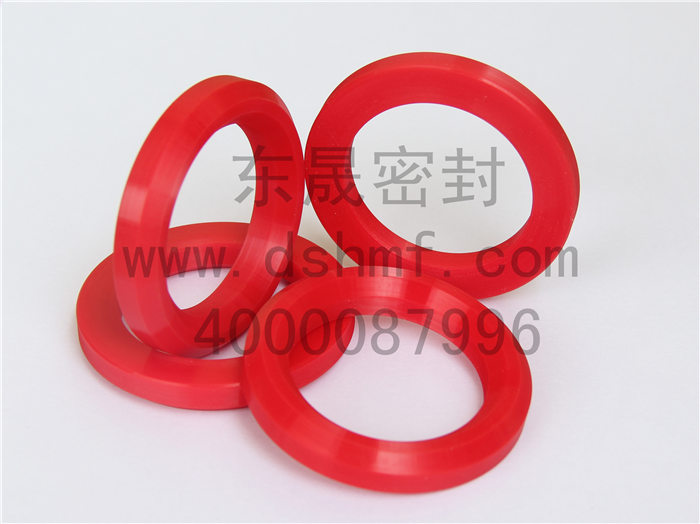 V型圈，密封件產(chǎn)品