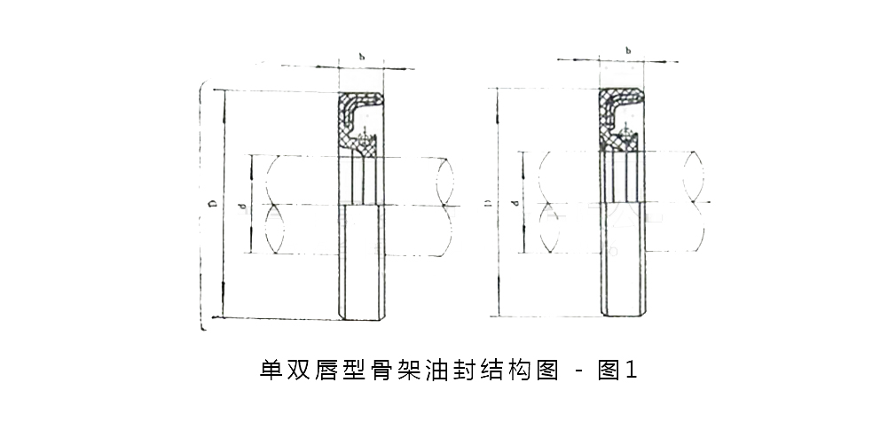 單雙唇油封標準尺寸結(jié)構(gòu)圖