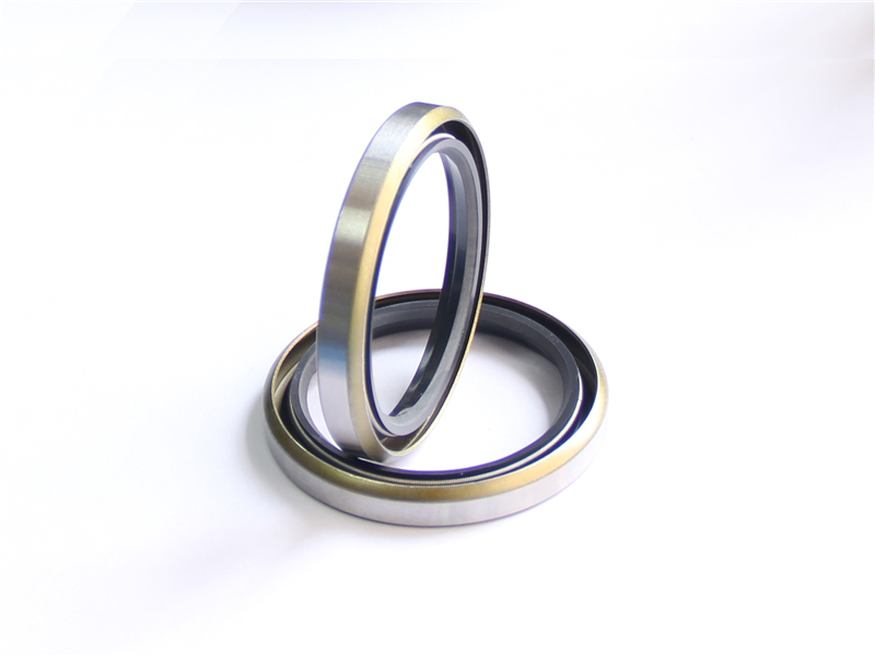 油封，浮動(dòng)，密封件，產(chǎn)品