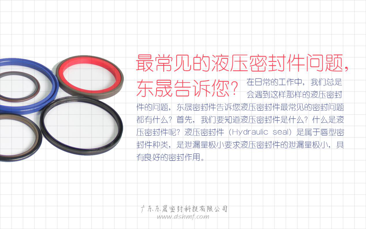 （二）液壓密封件的常見(jiàn)問(wèn)題解答？