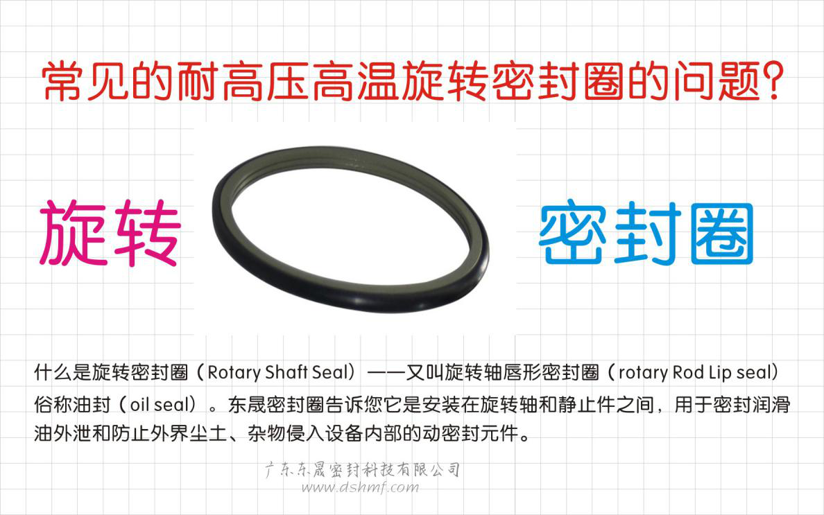 常見的耐高壓高溫旋轉(zhuǎn)密封圈的問題？之四