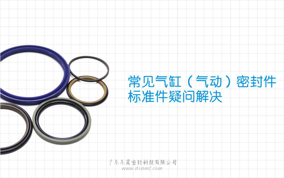 常見氣缸（氣動(dòng)）密封件標(biāo)準(zhǔn)件疑問解決？