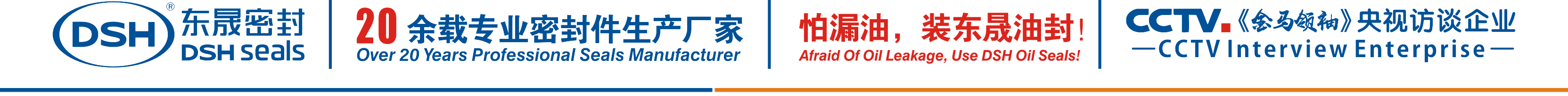 怕漏油，裝東晟油封！