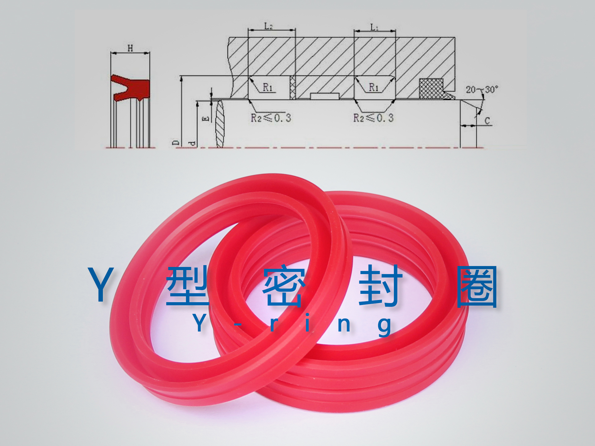 Y型密封圈（密封件、油封）與截面結(jié)構(gòu)產(chǎn)品圖