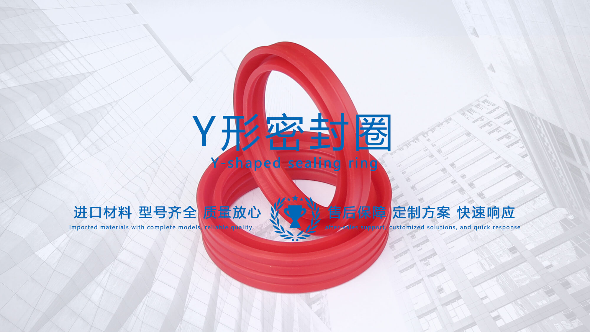 y型密封圈（又Y形密封圈，Y形圈，Y型圖或唇形密封圈，密封件油封膜片） (2)