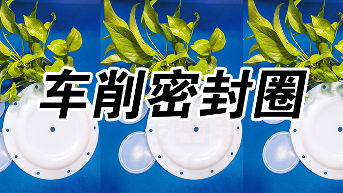 2車(chē)削密封圈，氣動(dòng)隔膜泵膜片密封件