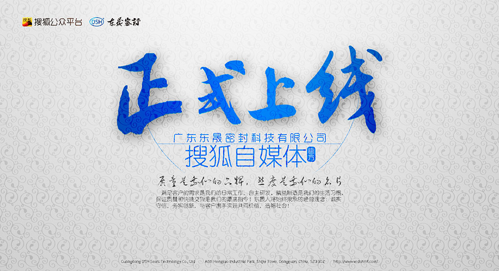 廣東東晟密封科技有限公司官方搜狐自媒體全面上線啦！歡迎您的到來