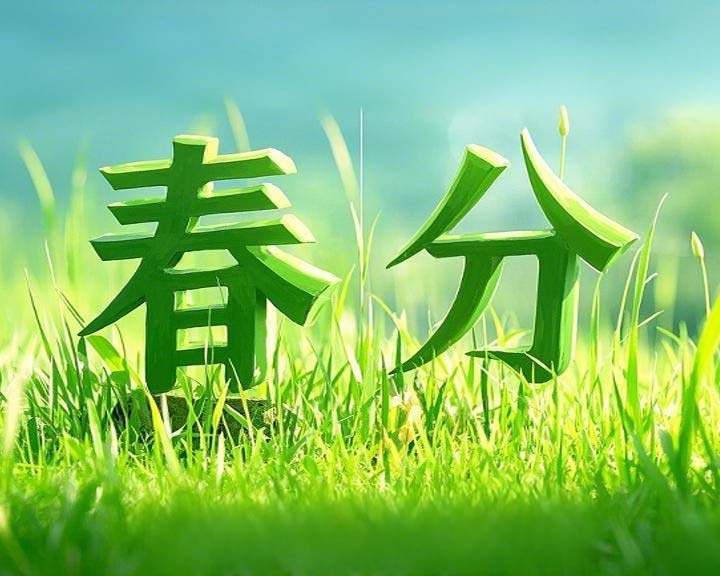 春分啟衡·東晟智封丨0.01毫米的陰陽(yáng)相濟(jì)之道！