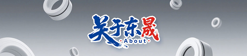 密封件,密封件公司,油封生產(chǎn)廠(chǎng)家,密封件生產(chǎn)廠(chǎng)家,密封圈生產(chǎn)廠(chǎng)家 - 廣東東晟密封科技有限公司123