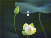 立夏已至，萬(wàn)物向陽(yáng)；